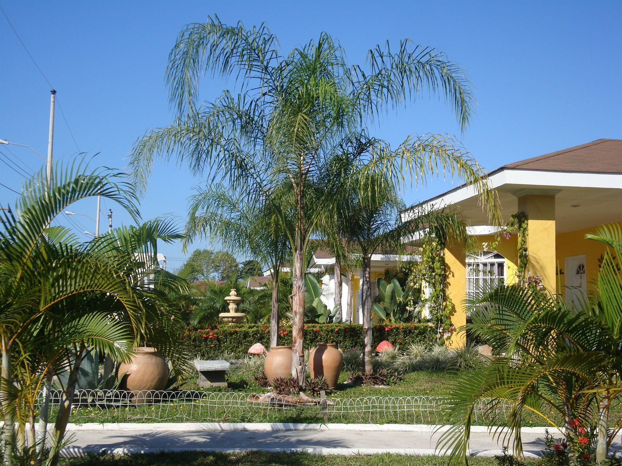 Hotel Palma Real Sambo Creek Екстер'єр фото